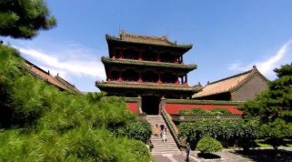 上海东林寺：探索明代古刹的完整游览指南与历史故事，轻松规划您的禅意之旅