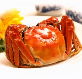 固城湖大闸蟹选购保存烹饪全攻略：从湖底到餐桌的鲜美秘诀