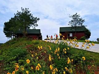 广东韶关旅游攻略：解锁岭南隐士的自然奇观与文化宝藏，轻松规划完美旅程