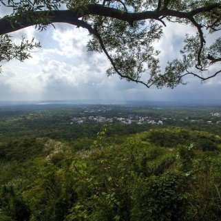 龙头山森林公园门票多少钱？2024年最新价格、省钱攻略及游玩路线全解析