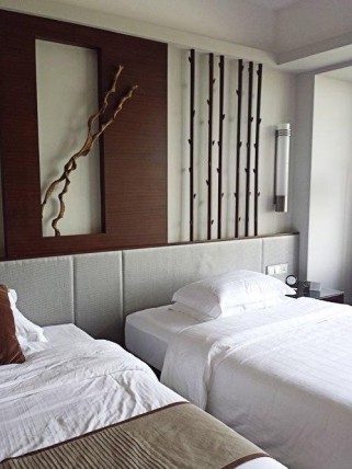 南湖宾馆住宿全攻略：商务休闲两相宜，湖景客房与贴心服务体验