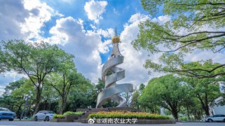 湖南农大：从历史沿革到优势专业，一站式了解这所农业特色大学的便捷指南