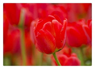 合肥植物园游玩全攻略：门票价格、开放时间、交通路线及四季美景一网打尽