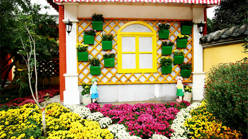 开封菊花展攻略:最佳观赏期、门票优惠与千年文化传承全解析 开封菊花展攻略:最佳观赏期、门票优惠与千年文化传承全解析