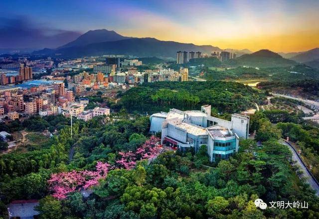 东莞大岭山:从家具之都到生态家园,一站式体验产业与生活的完美融合 东莞大岭山:从家具之都到生态家园,一站式体验产业与生活的完美融合