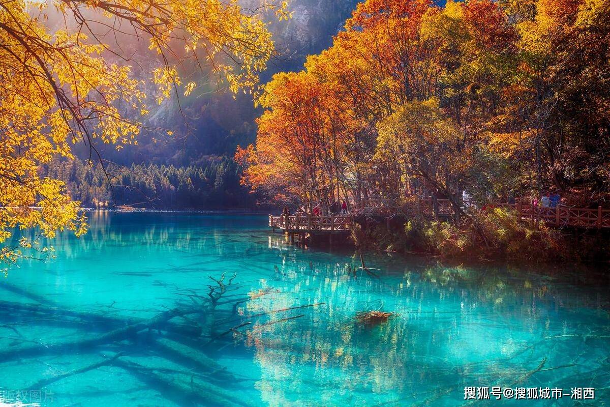 九寨沟景区旅游全攻略:四季美景、门票预订、交通路线与住宿美食一站式解决 九寨沟景区旅游全攻略:四季美景、门票预订、交通路线与住宿美食一站式解决