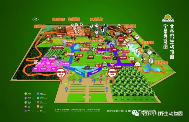 北京野生动物园门票全攻略：省钱避坑、快速入园，轻松规划完美亲子游