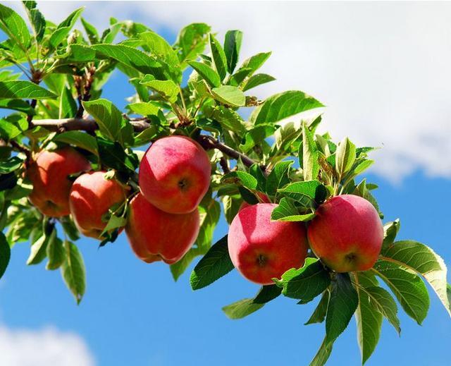 塔城天气:掌握未来一周精准预报,轻松应对多变气候 塔城天气:掌握未来一周精准预报,轻松应对多变气候