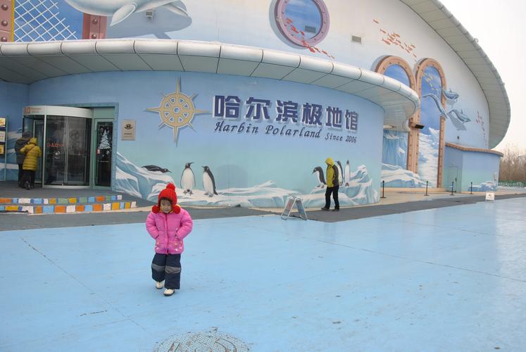 哈尔滨极地馆游玩全攻略:门票、表演、路线一网打尽,轻松避开人潮享受极地乐趣 哈尔滨极地馆游玩全攻略:门票、表演、路线一网打尽,轻松避开人潮享受极地乐趣
