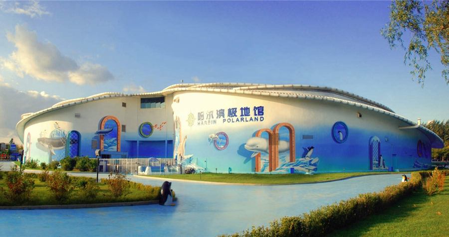 哈尔滨极地馆游玩全攻略:门票、表演、路线一网打尽,轻松避开人潮享受极地乐趣 哈尔滨极地馆游玩全攻略:门票、表演、路线一网打尽,轻松避开人潮享受极地乐趣