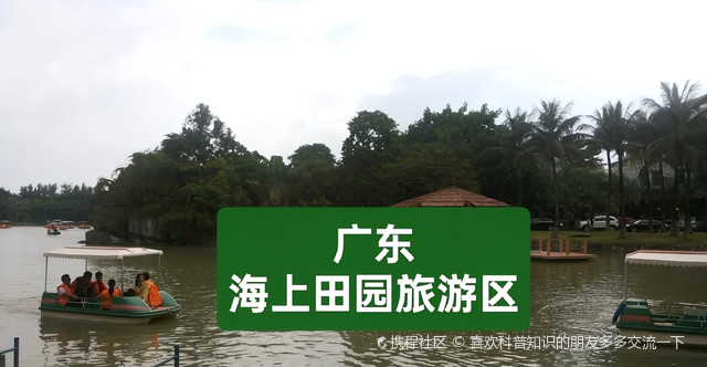 深圳海上田园游玩全攻略:门票、交通、四季玩法与避坑指南 深圳海上田园游玩全攻略:门票、交通、四季玩法与避坑指南