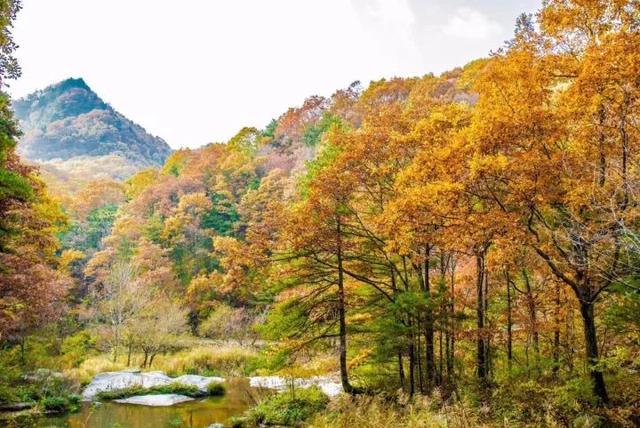 涪陵天气预报:精准掌握天气变化,轻松规划生活出行 涪陵天气预报:精准掌握天气变化,轻松规划生活出行