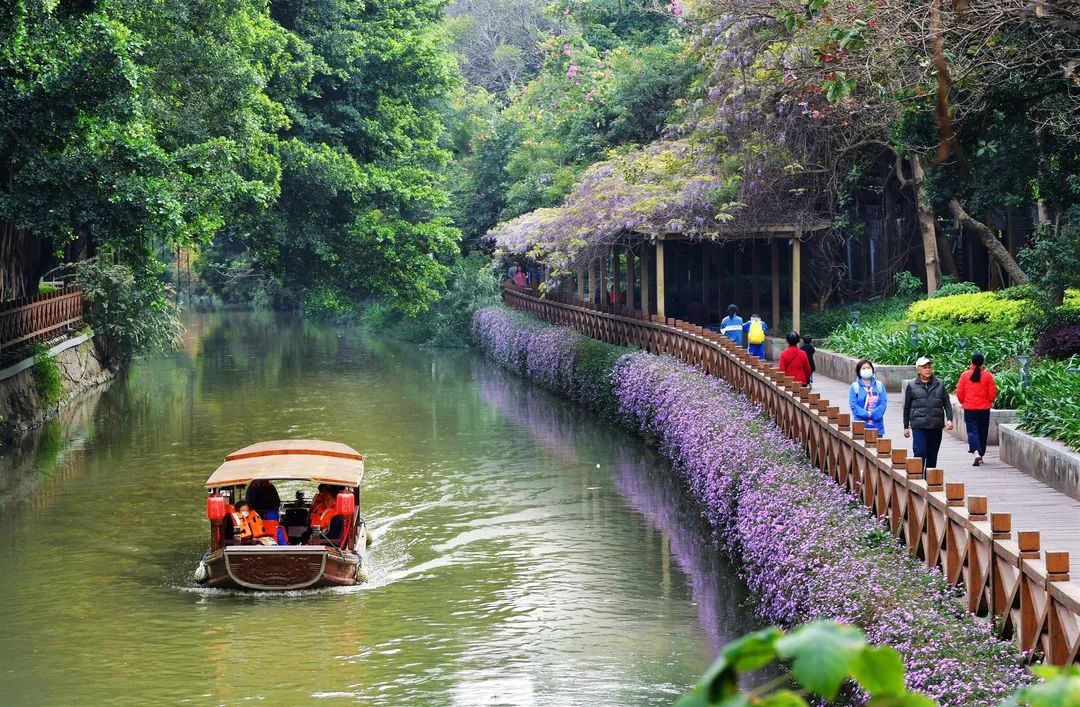 桐庐旅游攻略:四季景点、交通住宿与美食全解析,轻松规划完美旅程 桐庐旅游攻略:四季景点、交通住宿与美食全解析,轻松规划完美旅程