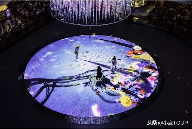 金沙酒店全攻略：从震撼空中泳池到超值预订优惠，轻松解锁新加坡奢华体验