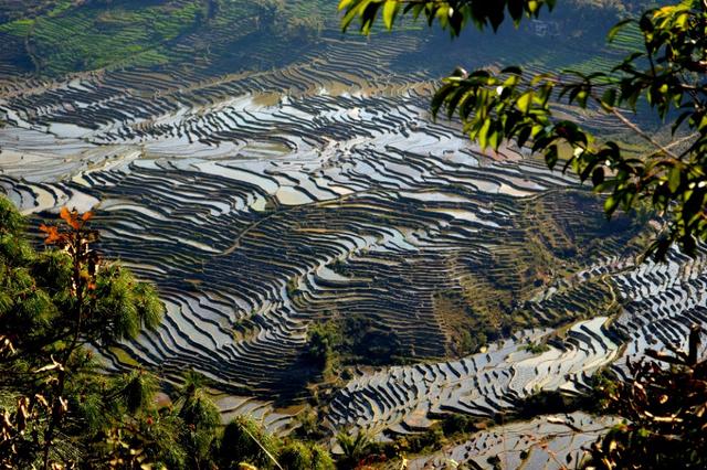 广西边境旅游攻略:探索友谊关、德天瀑布、东兴口岸的跨国奇观与历史文化 广西边境旅游攻略:探索友谊关、德天瀑布、东兴口岸的跨国奇观与历史文化