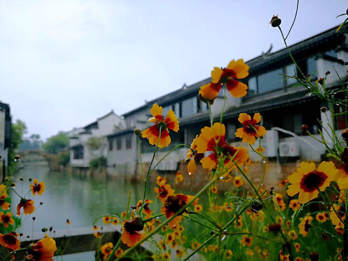 江南水乡古镇旅游攻略:沉浸式体验小桥流水人家的悠闲生活 江南水乡古镇旅游攻略:沉浸式体验小桥流水人家的悠闲生活