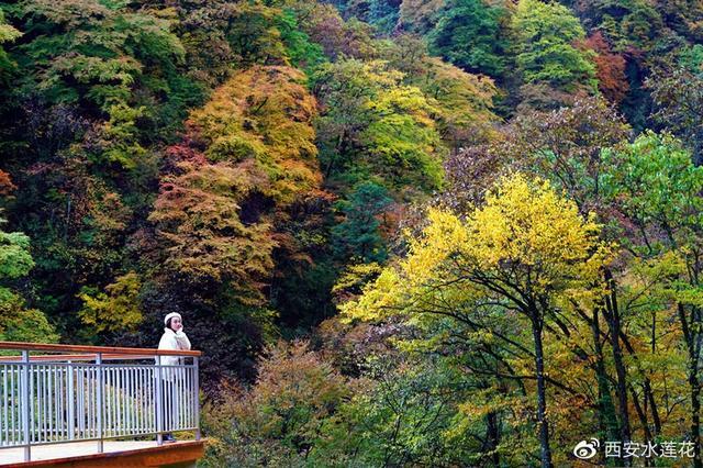 龙头山森林公园门票多少钱?2024年最新价格、省钱攻略及游玩路线全解析 龙头山森林公园门票多少钱?2024年最新价格、省钱攻略及游玩路线全解析