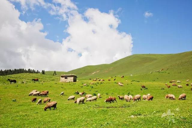 内蒙古呼和浩特旅游攻略:避暑胜地、草原风光、美食体验全解析 内蒙古呼和浩特旅游攻略:避暑胜地、草原风光、美食体验全解析