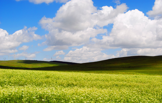 内蒙古呼和浩特旅游攻略:避暑胜地、草原风光、美食体验全解析 内蒙古呼和浩特旅游攻略:避暑胜地、草原风光、美食体验全解析