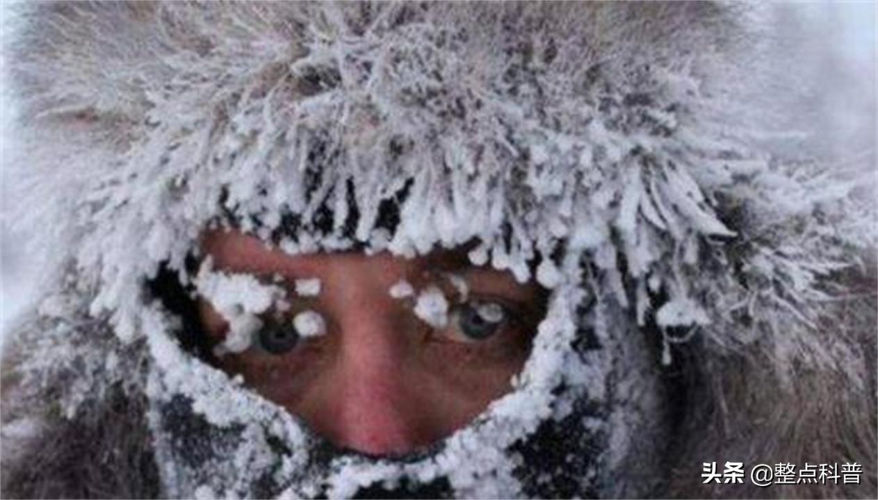 奥伊米亚康旅游攻略:揭秘世界最冷村庄的极寒生存智慧与旅行乐趣 奥伊米亚康旅游攻略:揭秘世界最冷村庄的极寒生存智慧与旅行乐趣