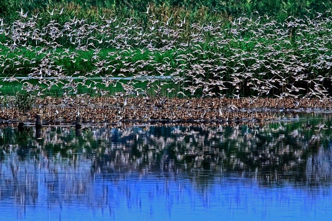华侨城欢乐海岸游玩全攻略：省钱省时玩转深圳湾休闲胜地