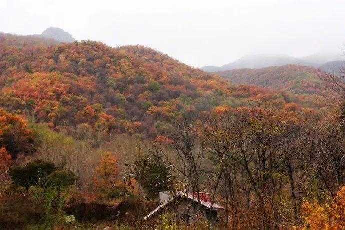 北京风景全攻略:解锁四季最佳旅游时节与必打卡景点,轻松规划完美行程 北京风景全攻略:解锁四季最佳旅游时节与必打卡景点,轻松规划完美行程
